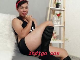 Indigo_cox