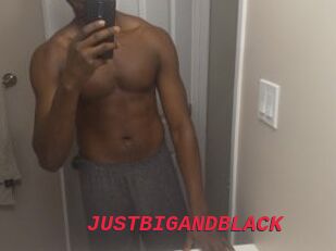 JUSTBIGANDBLACK