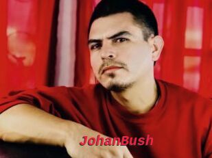 JohanBush