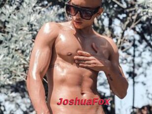 JoshuaFox