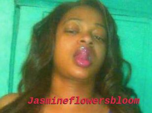 Jasmineflowersbloom