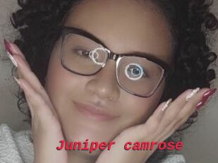 Juniper_camrose