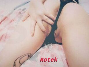 Kotek