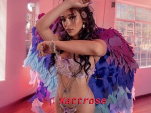 Kattrose