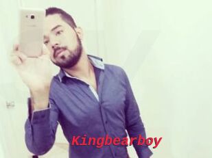 Kingbearboy