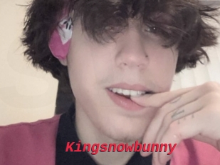 Kingsnowbunny