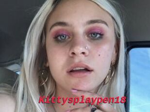 Kittysplaypen18