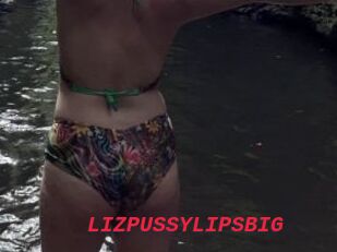 LIZPUSSYLIPSBIG