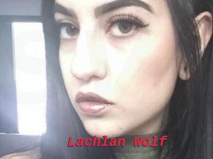 Lachlan_Wolf