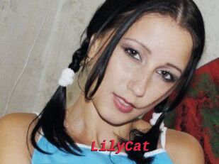 Lily_Cat_