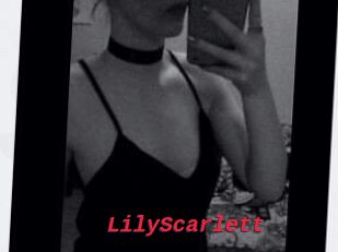 Lily_Scarlett