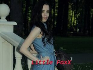 Little_FoxX