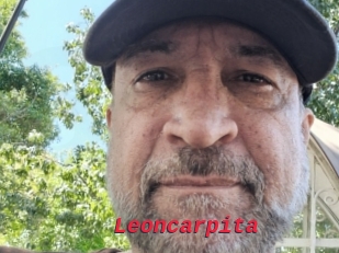 Leoncarpita