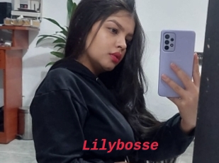 Lilybosse