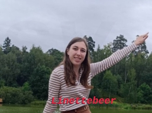 Linettebeer