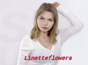 Linetteflowers