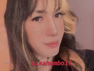 Lisahumbolt