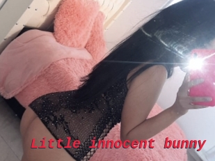 Little_innocent_bunny