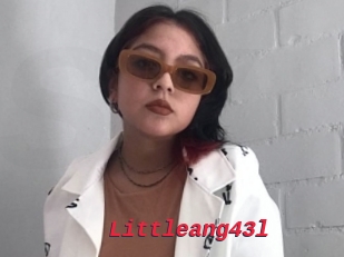 Littleang43l