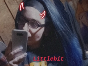 Littlebit