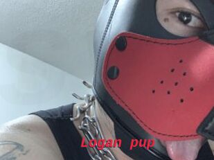 Logan_pup