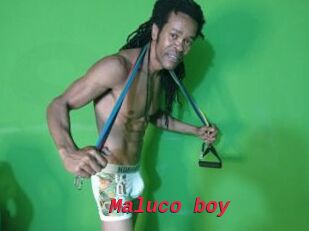 Maluco_boy