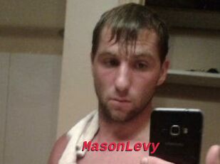 Mason_Levy