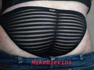 Mikeblevins