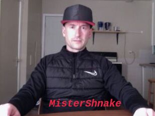 MisterShnake