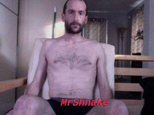 MrShnake