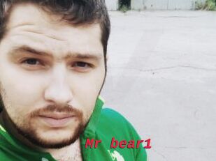 Mr_bear1