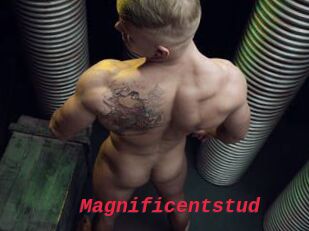 Magnificentstud