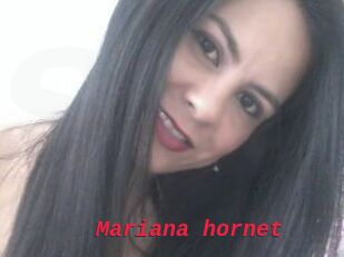 Mariana_hornet