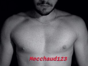 Mecchaud123