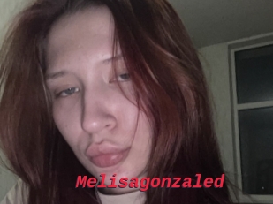 Melisagonzaled