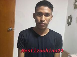 Mestizochino23