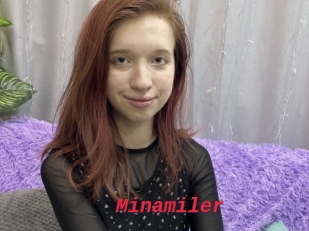 Minamiler