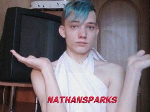 NATHAN_SPARKS