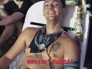 Nectar_Rabbit