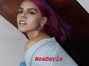 NoaDavis