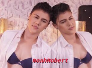 NoahRobert