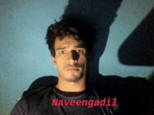 Naveengadil