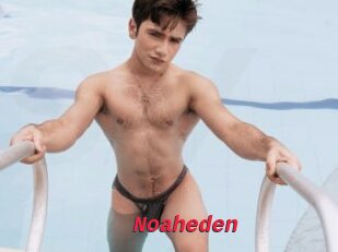 Noaheden