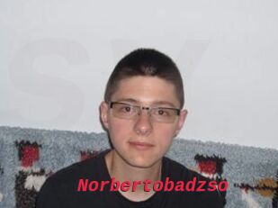 Norbertobadzso