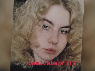 Odeliabarritt