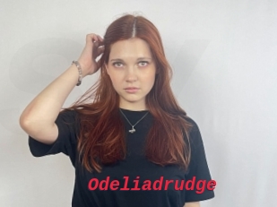 Odeliadrudge