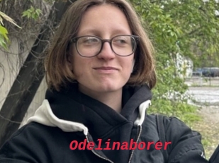 Odelinaborer