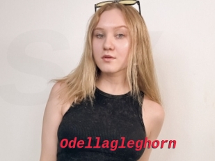 Odellagleghorn