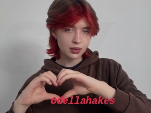 Odellahakes