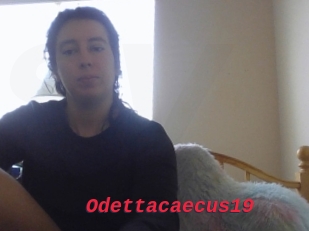 Odettacaecus19